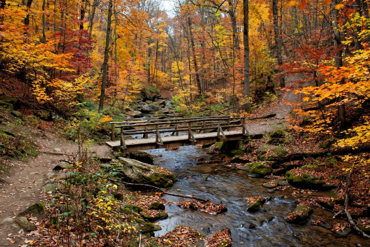 Euclid Creek flowing through a wooded ravine in the Euclid Creek Reservation near South Euclid, Ohio, with a hiking trail bridge in autumn