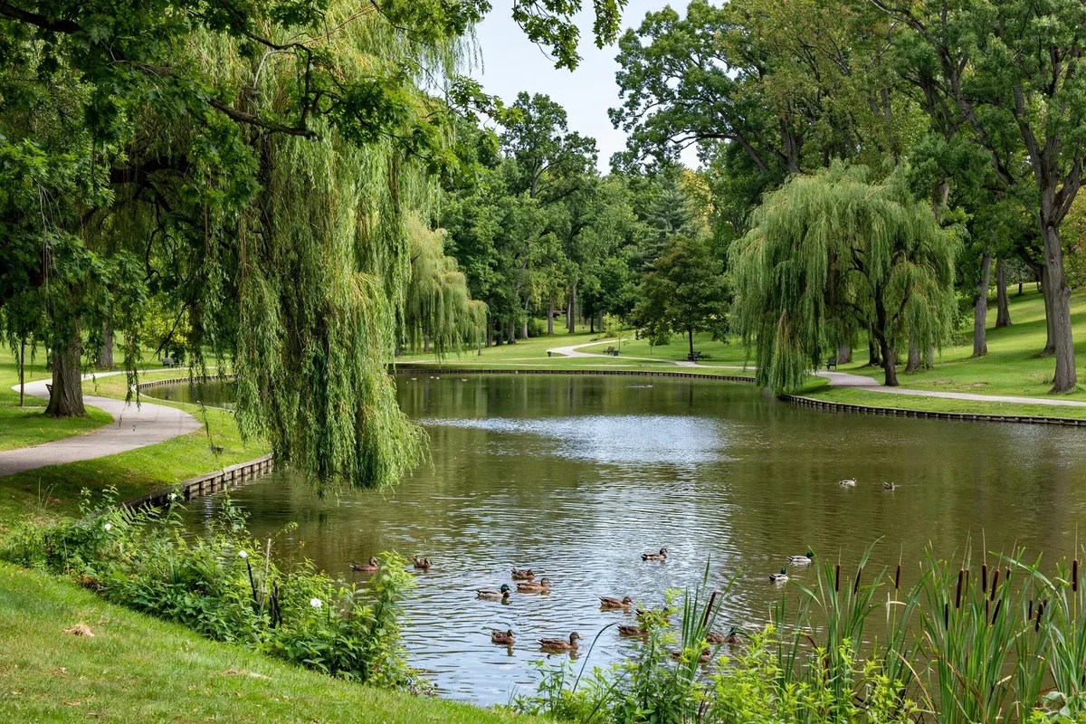 Calm pond with walking paths and mature trees at a park in Sylvania, Ohio